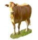 Livestock