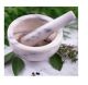Homeopathy